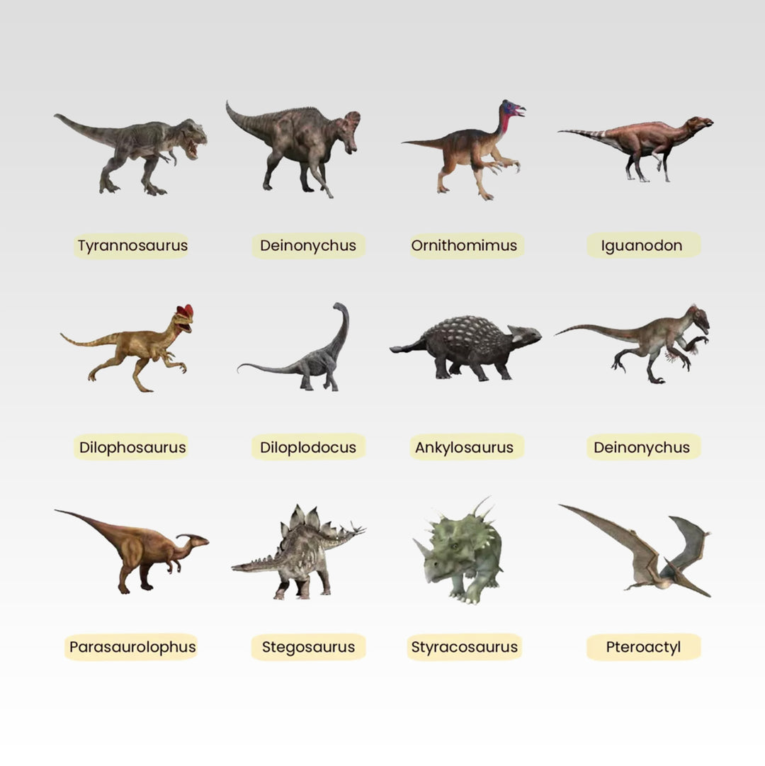 Set de Juego de Excavación Arqueológica De Dinosaurio Para Niños